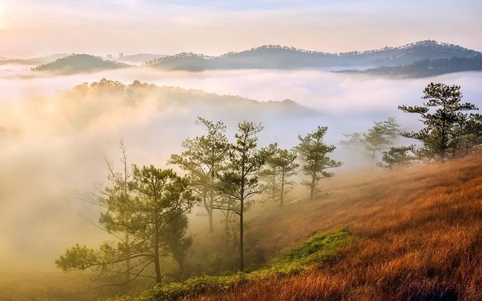 Đồi Đa Phú –
